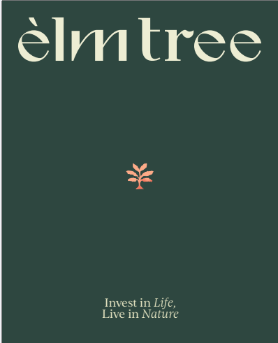 elm Tree | Rekomnd Plus